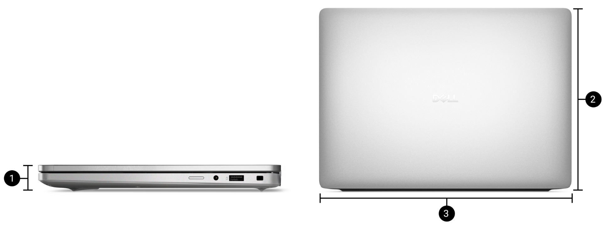 dell pro plus pb14250