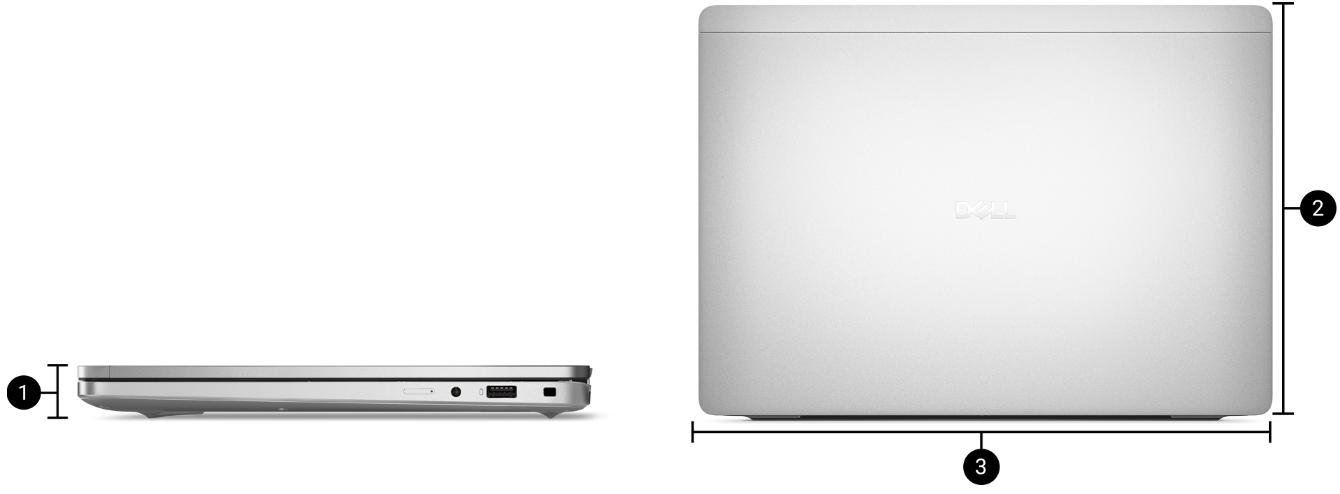 dell pro plus pb14250